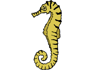 sea horse.gif